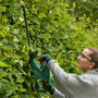 Bosch EASYHEDGECUT 18V-52-13 Cortasetos a batería con cuchilla de 52 cm