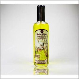 RADHE SHYAM Ambientador Canela Naranja 100Ml