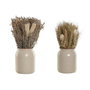 DKD Home Decor Set de 2 Plantas de Flor Seca 13x13x25 cm, Beige y Natural