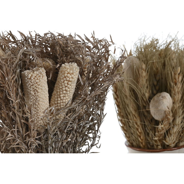 DKD Home Decor Set de 2 Plantas de Flor Seca 13x13x25 cm, Beige y Natural