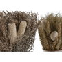 DKD Home Decor Set de 2 Plantas de Flor Seca 13x13x25 cm, Beige y Natural