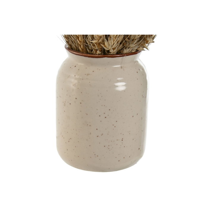 DKD Home Decor Set de 2 Plantas de Flor Seca 13x13x25 cm, Beige y Natural