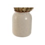 DKD Home Decor Set de 2 Plantas de Flor Seca 13x13x25 cm, Beige y Natural