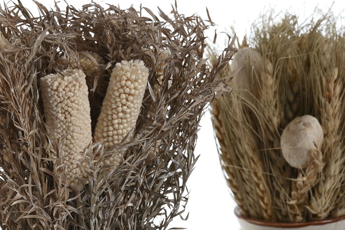 DKD Home Decor Planta Shabby Beige Natural 13 x 25 x 13 cm (2 Unidades)