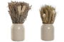DKD Home Decor Planta Shabby Beige Natural 13 x 25 x 13 cm (2 Unidades)