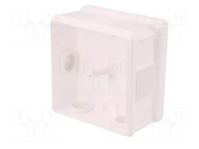 ELEKTRO-PLAST NASIELSK Caja de Conexiones EP-LUX Blanca IP55