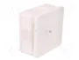 ELEKTRO-PLAST NASIELSK Caja de Conexiones EP-LUX Blanca IP55