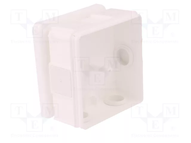 ELEKTRO-PLAST NASIELSK Caja de Conexiones EP-LUX Blanca IP55