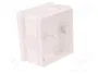 ELEKTRO-PLAST NASIELSK Caja de Conexiones EP-LUX Blanca IP55