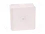 ELEKTRO-PLAST NASIELSK Caja de Conexiones EP-LUX Blanca IP55