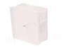 ELEKTRO-PLAST NASIELSK Caja de Conexiones EP-LUX Blanca IP55