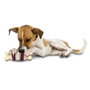 Petsafe Busy Buddy Bristle Bone Med