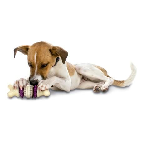 Petsafe Busy Buddy Bristle Bone Med
