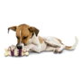 Petsafe Busy Buddy Bristle Bone Med