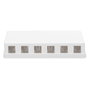 Digitus DN-93705 Carcasa para 6 Módulos Keystone, Blanco