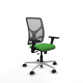 PIQUERAS Y CRESPO Silla de oficina Motilla con mecanismo Sincro/Traslack, Verde y Gris