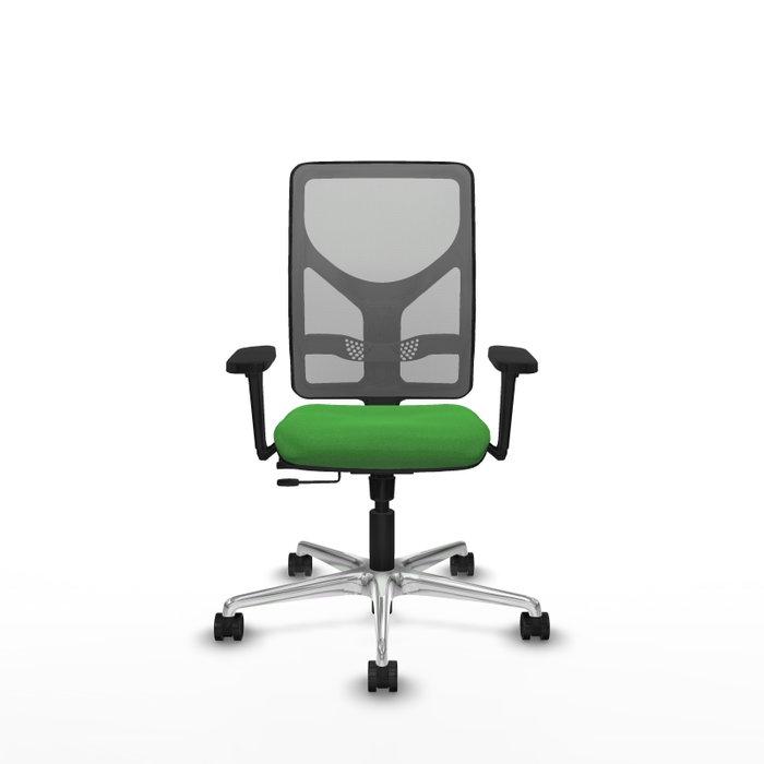 PIQUERAS Y CRESPO Silla de oficina Motilla con mecanismo Sincro/Traslack, Verde y Gris PIQUERAS Y CRESPO Silla de oficina Motilla con mecanismo Sincro/Traslack, Verde y Gris