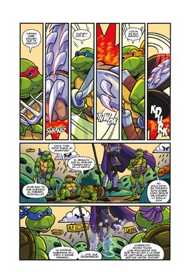 Teenage Mutant Ninja Turtles : Las Aventuras Animadas - Vol.01