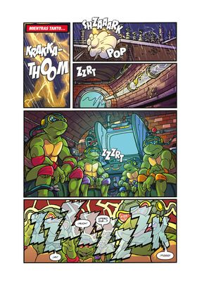 Teenage Mutant Ninja Turtles : Las Aventuras Animadas - Vol.01