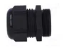 Lapp 53111240, Pack de 25 unidades, Negro, M32x1.5, IP68/IP69