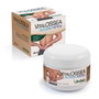 DERBOS Vitalossea Acción Rápida 100ml