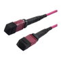Synergy21 LWL-MTP®-Female Patchkabel OM4 LowLoss(ELite) 12 Faser, Typ B crossed, erika-violett, 10m