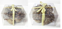 DKD Home Decor Set de 4 Colgantes Decorativos de Piña 11x11x7 cm, Surtido de 2 Modelos