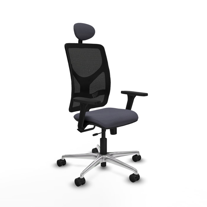 PIQUERAS Y CRESPO Silla de oficina Motilla con mecanismo Sincro/Traslack, Gris oscuro y Negro PIQUERAS Y CRESPO Silla de oficina Motilla con mecanismo Sincro/Traslack, Gris oscuro y Negro