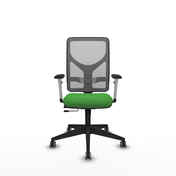 PIQUERAS Y CRESPO Silla de oficina Motilla con mecanismo Sincro/Traslack, Verde y Gris PIQUERAS Y CRESPO Silla de oficina Motilla con mecanismo Sincro/Traslack, Verde y Gris