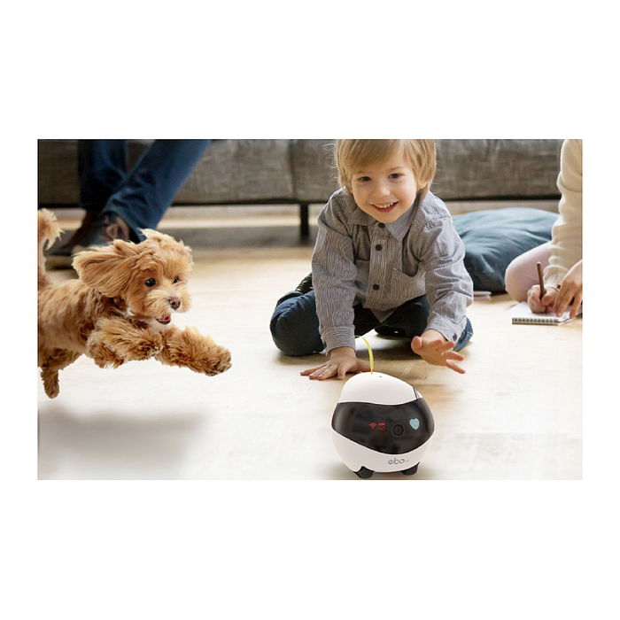 Enabot EBO Air Robot con Cámara 1080p, Seguimiento IA, LiDAR y Control por App