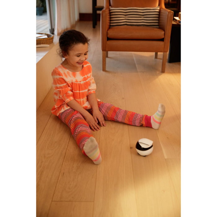 Enabot EBO Air Robot de Vigilancia con Cámara Full HD y Seguimiento por IA