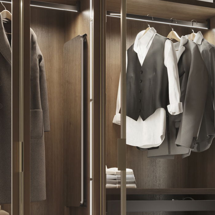 Emuca Espejo extraíble para interior de armario Quartz, con giro 180°, 1.000x300mm, Aluminio, vidrio y acero, Titanio