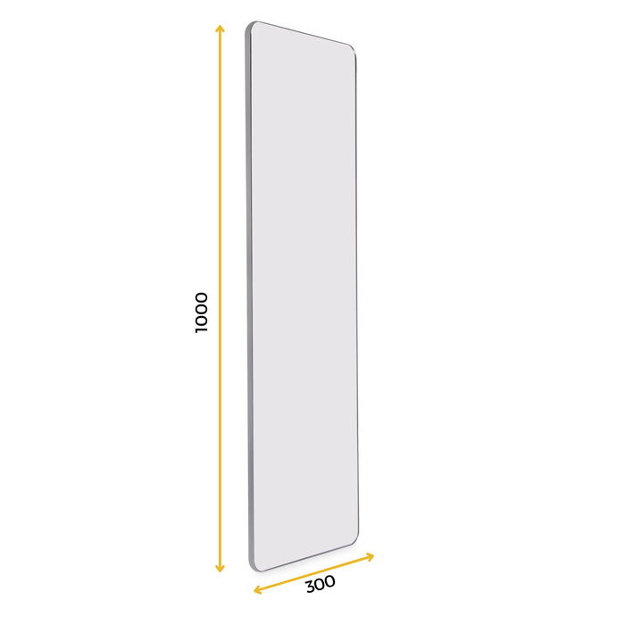 Emuca Espejo extraíble para interior de armario Quartz, con giro 180°, 1.000x300mm, Aluminio, vidrio y acero, Titanio