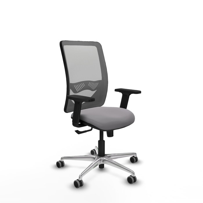 PIQUERAS Y CRESPO Silla de oficina Zulema con Mecanismo Sincro y Brazos 2D, Gris PIQUERAS Y CRESPO Silla de oficina Zulema con Mecanismo Sincro y Brazos 2D, Gris
