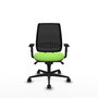 Silla de oficina Alares con mecanismo Sincro tapizada con Tela color Pistacho y malla color Negro. Equipada con lumbar 1D, Brazos 1D y Ruedas 65mm nailon