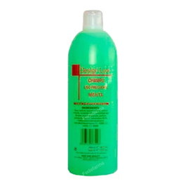 Design Look Champú de Menta 1000 ml
