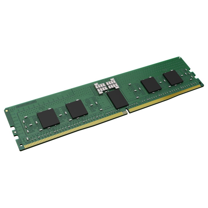 Kingston KTH-PL556S8-16G - Memoria RAM 16GB DDR5 5600MT/s ECC Registered 1Rx8 Módulo DIMM 288-pin para PC/Servidor