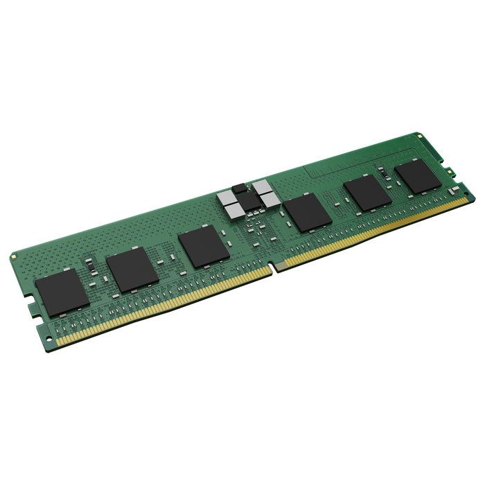 Kingston KTH-PL556S8-16G - Memoria RAM 16GB DDR5 5600MT/s ECC Registered 1Rx8 Módulo DIMM 288-pin para PC/Servidor