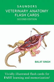 ELSEVIER UK Veterinary Anatomy Flash Cards