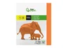 Liderpapel Cartulina A4 180g/m² Naranja Fuerte - Paquete 100 Hojas
