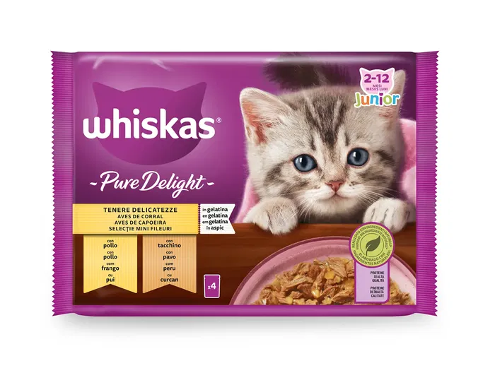 Mars (Whiskas) Pure Delight Junior Aves para Gatos, Comida Húmeda en Sobre - 13 x 4 x 85 g Mars (Whiskas) Pure Delight Junior Aves para Gatos, Comida Húmeda en Sobre - 13 x 4 x 85 g