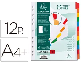 Exacompta Separador Cartulina DIN A4+ Multitaladro Blanco Juego de 12 con Pestañas Reforzadas