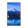 Sharp P506 Pantalla de Señalización Digital 50 pulgadas (127 cm) 4K UHD 3840x2160, Brillo 700 cd/m², 24/7, VA, HDMI, DisplayPort, USB, Negro