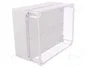 ELEKTRO-PLAST NASIELSK Carcasa Industrial Universal Gris IP65