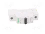 SCHNEIDER ELECTRIC Interruptor magnetotérmico ACTI9 K60N 1P 4A 6kA