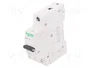 SCHNEIDER ELECTRIC Interruptor magnetotérmico ACTI9 K60N 1P 4A 6kA