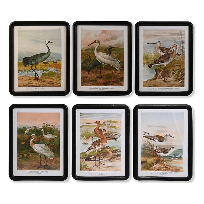 DKD Home Decor Set de 6 Cuadros de Cristal y MDF con Diseño de Pájaros, 40x1,8x50 cm