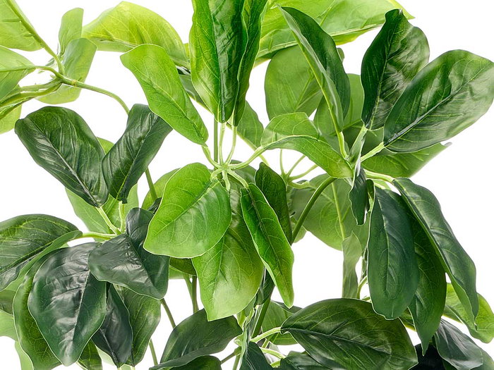 Ibergarden Planta Artificial Maceta Decorativa 60 cm con 12 Hojas Ovaladas, Verde y Negro, 50x50x60 cm (Set de 6)