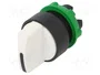 SCHNEIDER ELECTRIC Interruptor Rotativo Harmony XB5 22mm Blanco