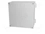 FIBOX CAB Carcasa de pared de policarbonato gris 300x300x180mm